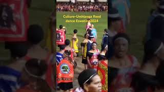 CultureUmhlanga Reed dance Eswatini tradition [upl. by Orodoet634]