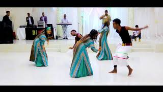 AWALE ADAN  OPENING SHOW HARGEISA  2019 Official Video [upl. by Mommy]