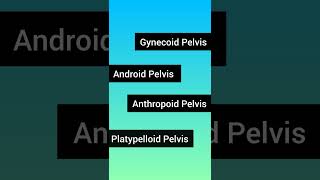 Types of Pelvis l Pelvis Types l Female Pelvis pelvistypesofpelvisobgynmedicalnorcetnursing [upl. by Reppiks]