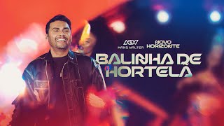 Mano Walter  Balinha de Hortelã Clipe Oficial [upl. by Radmilla]