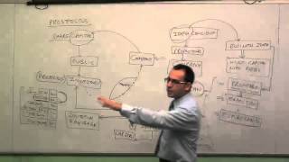 Company Law Lectures for CACSCMA Video  PROSPECTUS [upl. by Rosetta]