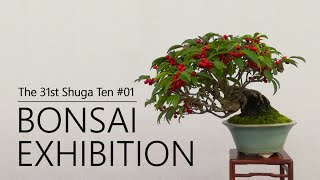 SHOHIN BONSAI EXHIBITION｜Fruits and leafedout branches autumn in BONSAI｜The 31st Shugaten [upl. by Ennovart]