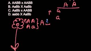 Which of the following is the testcross How to find if the plant is homozygous or heterozygous [upl. by Viole]