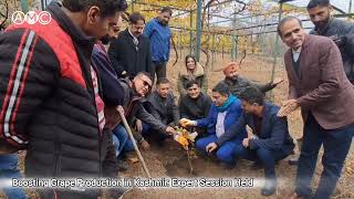 Boosting Grape Production in Kashmir Expert Session Held  AMC [upl. by Hamner651]