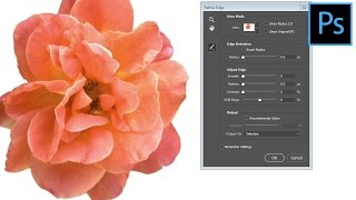 Photoshop CC  Restore the Refine Edge Tool [upl. by Croft]