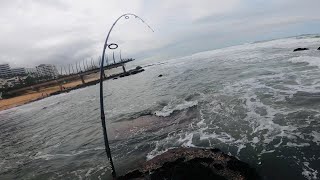 Fishing Umhlanga Beach Ultralight Fishing KZN [upl. by Viva847]