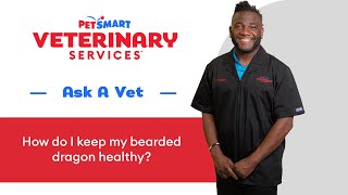 Bearded Dragon Care 101 How To Keep Your Bearded Healthy From PetSmart Veterinary Services [upl. by Gregoire780]