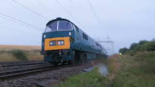 D1015 Western Champion with The Westbury Wizzo 6th July 2024 [upl. by Bramwell]