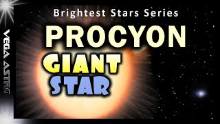 ⭐An InDepth Look at PROCYON aampb [upl. by Nilatak]