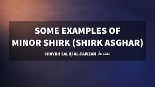 Examples of Minor Shirk  Shaykh Saalih alFawzaan [upl. by Raseda]