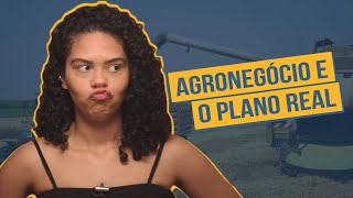 PRODUÇÃO AGROPECUÁRIA O AGRONEGÓCIO NO BRASIL [upl. by Nohcim]