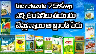 tricyclazole 75wp how many companies manufactured this productVillagefoodfactoryofficial7 [upl. by Ditter383]