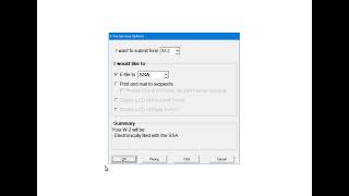 W2  E Filing to the SSA Using E File Services [upl. by Ttenaej]