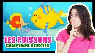 Les petits poissons dans leau  Comptines à gestes pour les bébés  Titounis [upl. by Zahavi]