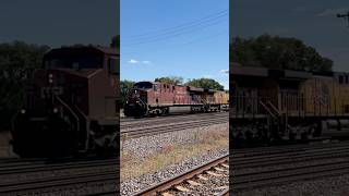 CP 8701 leads UP MSSIT [upl. by Kenrick]