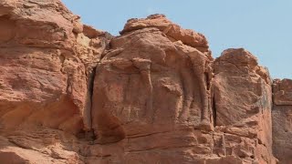 Mystères et sculptures de chameaux dans le désert saoudien [upl. by Sheena576]