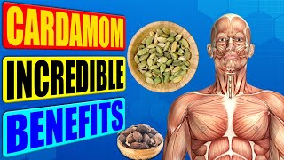 CARDAMOM BENEFITS  13 Impressive Health Benefits Of Cardamom❗️ [upl. by Ettena516]