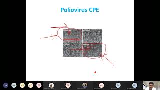 Lecture5 SBL704 Virology 15 01 2022 [upl. by Wylie]