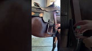 Western Cinch Tutorial shorts westernriding equestrian saddle cinch horseriding [upl. by Ytsihc346]