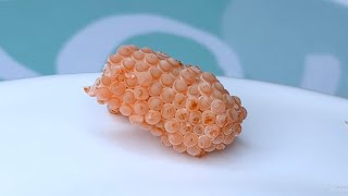 ASMR Crushed snail eggs  Apple snail Eggs ASMR 🐌106 [upl. by Anerda746]