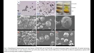 PCL from PolySciTech used in development of nanopolyhedron drug delivery platform [upl. by Ilesara732]