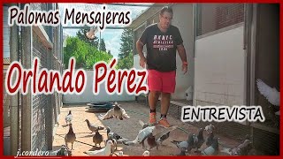 PALOMAS MENSAJERASORLANDO PÉREZ 2023 [upl. by Carry]