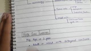 Testicular Carcinomas Part 2 Pathology  4th Lecture  Robbin [upl. by Llezom]