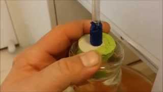 TIP on HOW TO degas homemade white wine kit FAST [upl. by Thebazile]