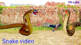 Anaconda  snake 55 in real life HD video  Vfx Luba [upl. by Bully]