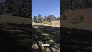 Shimla naldehra golf course vlog yt travel treanding [upl. by Mchugh]