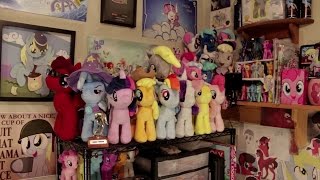 Pony Collection amp Workspace Tour [upl. by Nulubez560]