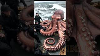 Giant Deep Sea Creature Caught by Fishermen🐙🦑🦀deepseafishing fishingexploration giantseacreature [upl. by Nana]