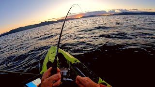 Kayak Fishing in NZ [upl. by Ardnazil]