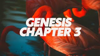 GENESIS  Chapter 3 [upl. by Siro]