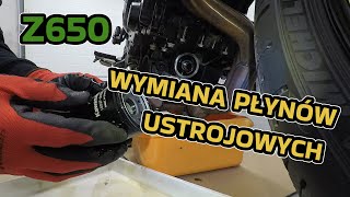 Kawasaki Z650 wymiana oleju i płynu chłodniczego [upl. by Aihtenyc35]