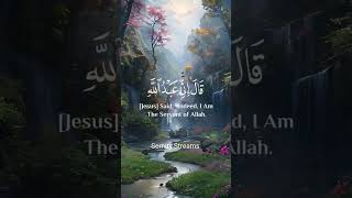 Quran Recite islamicstatus quranicvibes duet quranqoutes peace quranrecitation viral love [upl. by Nidorf]