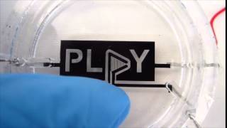 Stretchable touch responsive dielectric elastomer actuator [upl. by Aeriel]