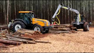 TMO  MINI SKIDDER TF100 E HARVESTER 500H [upl. by Eugenides784]