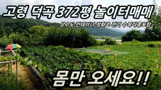 전속중개224고령 덕곡 농막매매수도 전기컨테이너정화조은성부동산 01045842100 [upl. by Clarhe]