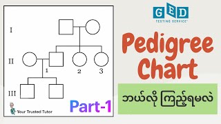 Pedigree Chart Explained for GED Science Part1  Basic Symbols  Hereditary amp Genetics [upl. by Esereht]