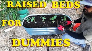 Everything About Garden Raised Beds [upl. by Auhel]