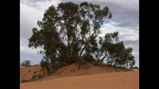 Mildura to Broken Hill Australia the 1 Day Road Trip [upl. by Birkett]