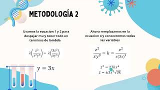 Proceso de Haberbosch Obtención de amoniaco [upl. by Dickey]