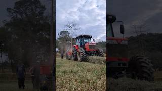 Produção de Feno  Enfardadeira Massey Ferguson [upl. by Eicyak38]