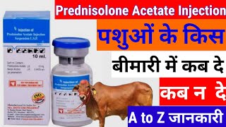 prednisolone Acetate injection  Prednisolone Acetate injection पशुओं के किस बीमारी में कब दे [upl. by Frannie544]