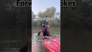 Kayaking Forward Stroke [upl. by Amby193]