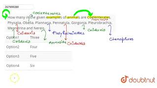 How many in the given examples of animals are Coelenterates Physalia Obelia Plannaria Pennat [upl. by Ly763]