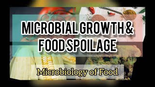 MICROBIAL GROWTH amp FOOD SPOILAGE  FOOD MICROBIOLOGY  BIOLOGY UNIVERSITY [upl. by Willtrude]