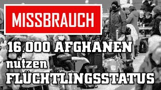 😱AUFGEDECKT 16000 Afghanen nutzen Flüchtlingsstatus in Hamburg [upl. by Eirbua527]