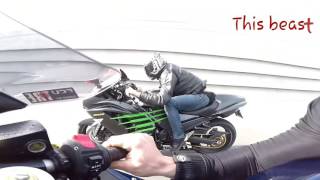 ZX14R 2016 vs build HAYABUSA Smackdown [upl. by Yelsnik920]